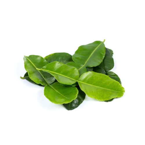 Lime Leaves Frozen 100g