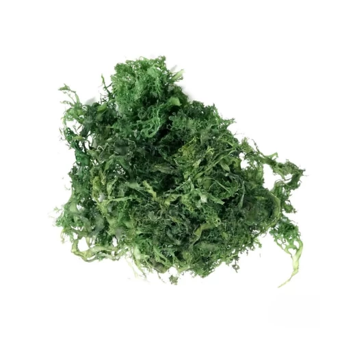 Nori Aka Tosaka 1kg Green Κτψ