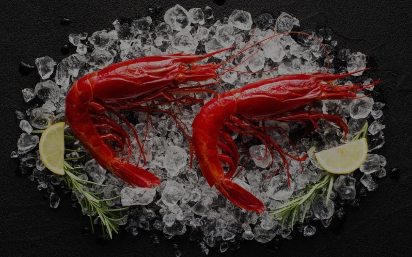 <p>Carabineros Shrimps</p>