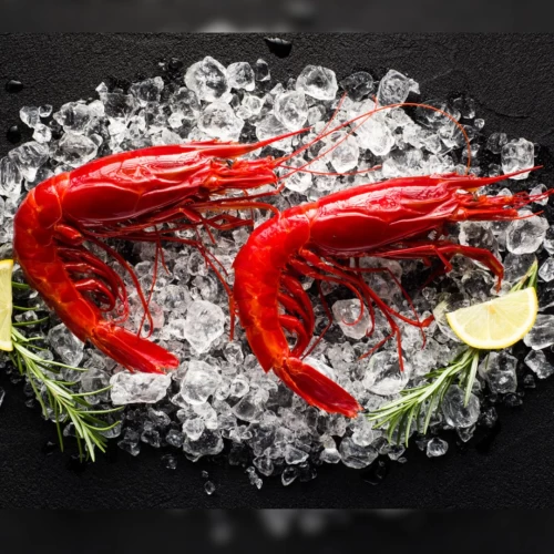 Carabineros Shrimps