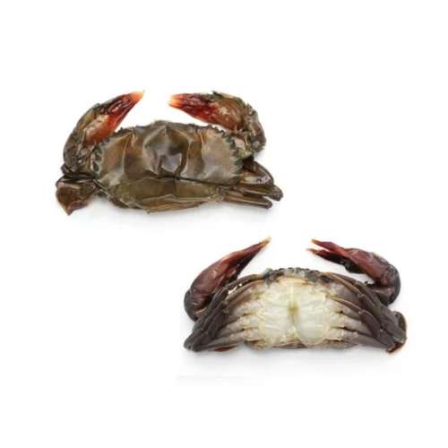 Soft Shell Crab 1kg